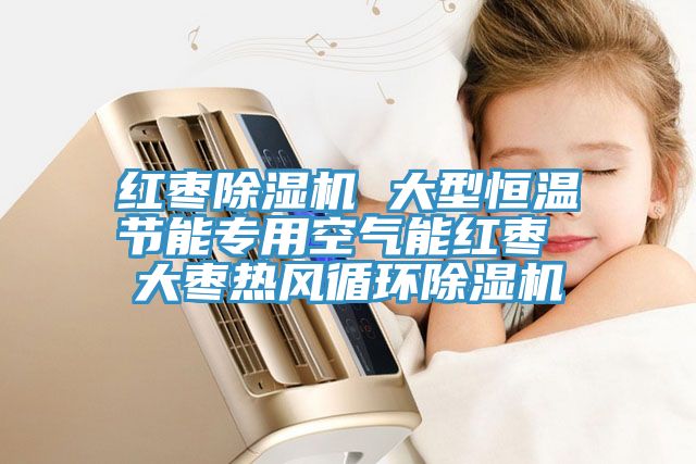 紅棗深夜福利视频网站 大型恒溫節能專用空氣能紅棗 大棗熱風循環深夜福利视频网站