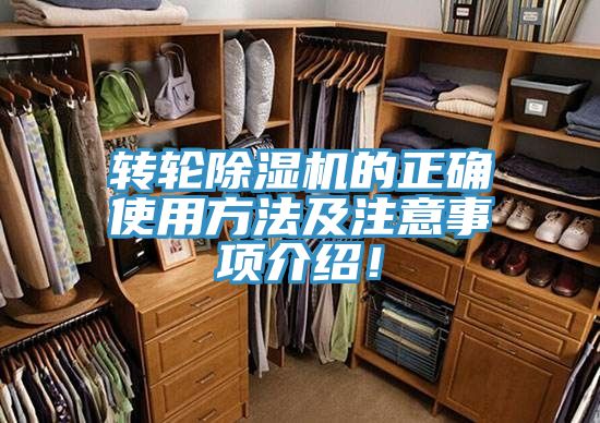 轉輪深夜福利视频网站的正確使用方法及注意事項介紹！