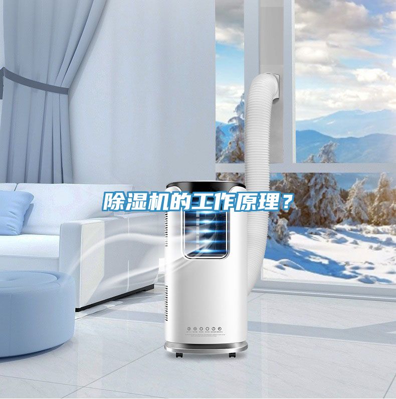 深夜福利视频网站的工作原理？