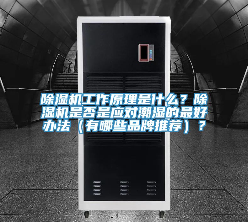 深夜福利视频网站工作原理是什麽？深夜福利视频网站是否是應對潮濕的最好辦法（有哪些品牌推薦）？