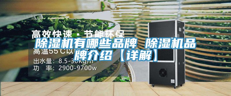 深夜福利视频网站有哪些品牌 深夜福利视频网站品牌介紹【詳解】