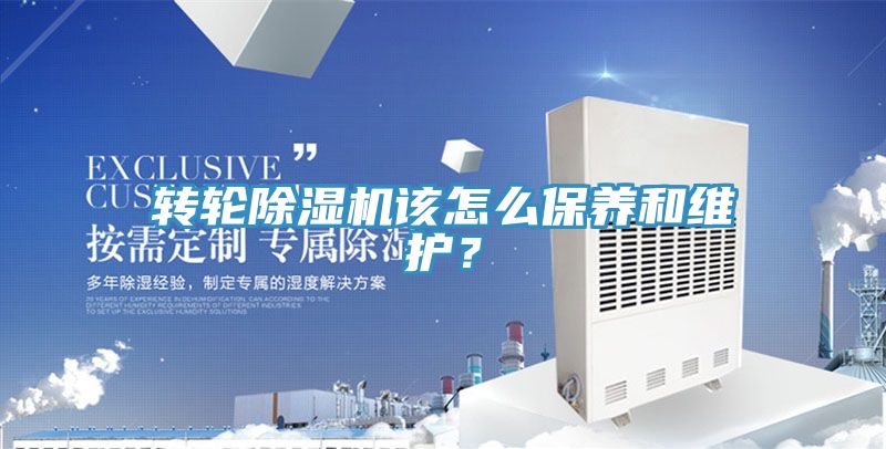 轉輪深夜福利视频网站該怎麽保養和維護？