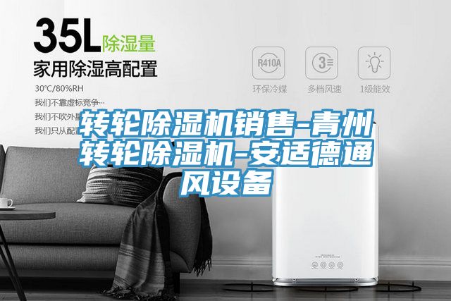 轉輪深夜福利视频网站銷售-青州轉輪深夜福利视频网站-安適德通風設備