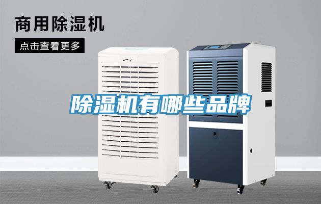 深夜福利视频网站有哪些品牌