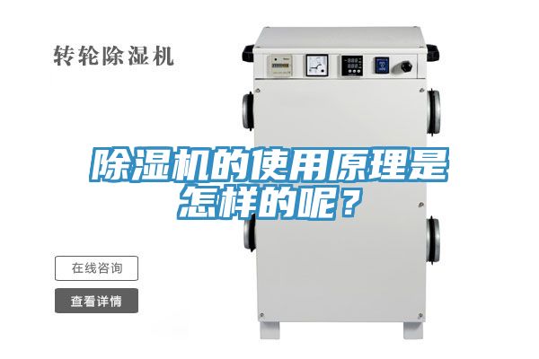 深夜福利视频网站的使用原理是怎樣的呢？