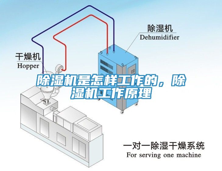 深夜福利视频网站是怎樣工作的，深夜福利视频网站工作原理