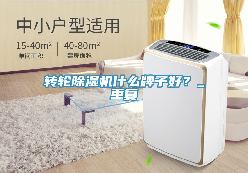 轉輪深夜福利视频网站什麽牌子好？_重複