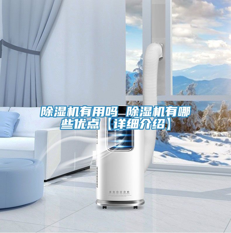 深夜福利视频网站有用嗎 深夜福利视频网站有哪些優點【詳細介紹】