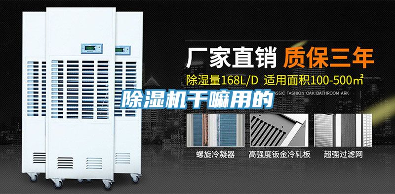 深夜福利视频网站幹嘛用的