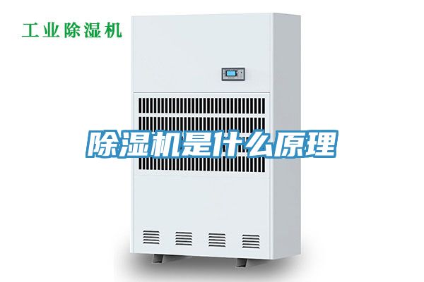 深夜福利视频网站是什麽原理
