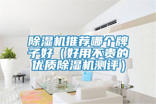 深夜福利视频网站推薦哪個牌子好（好用不貴的優質深夜福利视频网站測評）