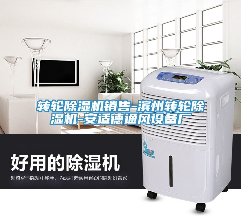 轉輪深夜福利视频网站銷售-濱州轉輪深夜福利视频网站-安適德通風設備廠