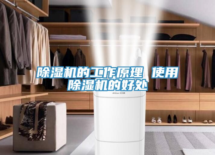 深夜福利视频网站的工作原理 使用深夜福利视频网站的好處