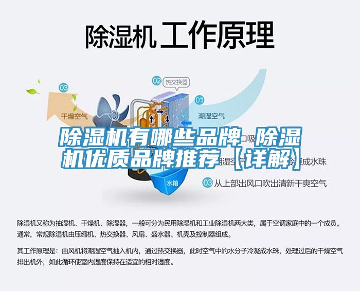 深夜福利视频网站有哪些品牌 深夜福利视频网站優質品牌推薦【詳解】