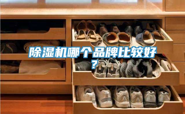 深夜福利视频网站哪個品牌比較好？