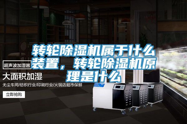 轉輪深夜福利视频网站屬於什麽裝置，轉輪深夜福利视频网站原理是什麽