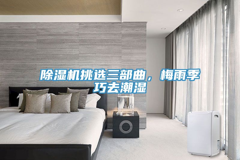 深夜福利视频网站挑選三部曲，梅雨季巧去潮濕