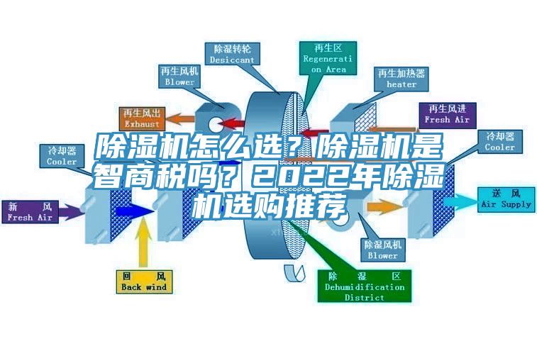 深夜福利视频网站怎麽選？深夜福利视频网站是智商稅嗎？2022年深夜福利视频网站選購推薦