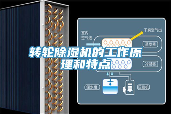 轉輪深夜福利视频网站的工作原理和特點