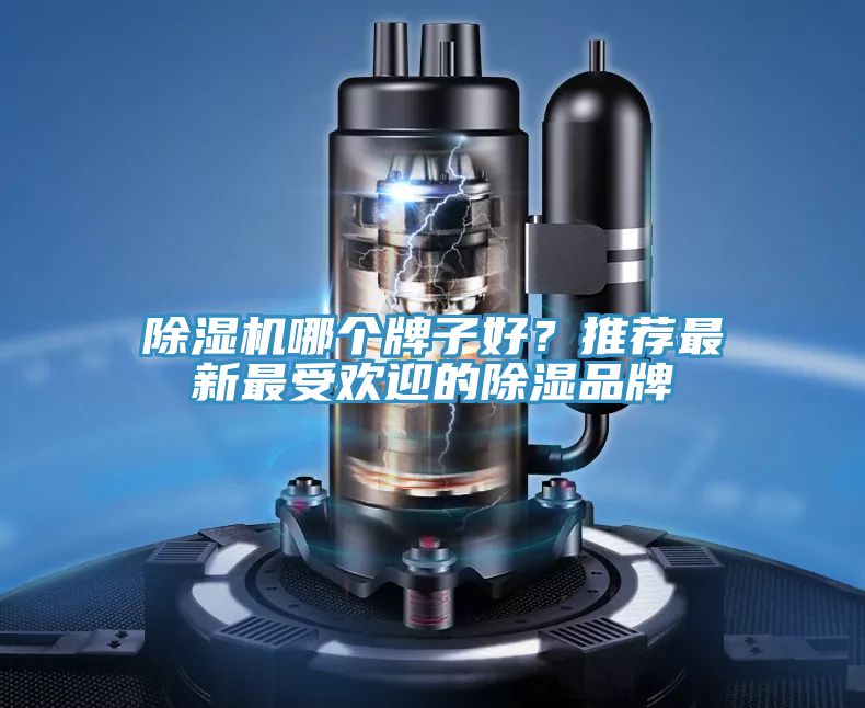 深夜福利视频网站哪個牌子好？推薦最新最受歡迎的除濕品牌