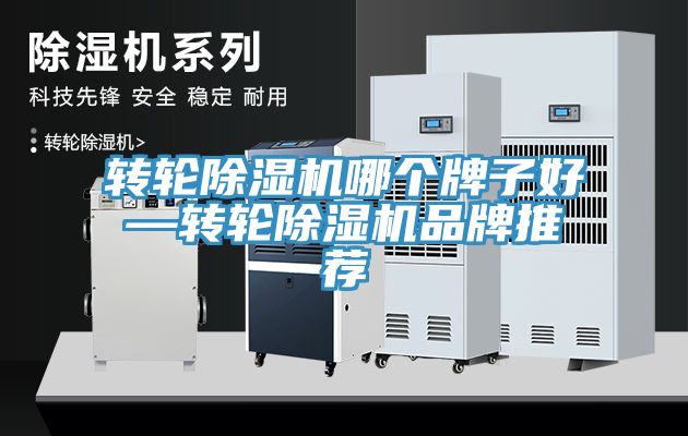 轉輪深夜福利视频网站哪個牌子好—轉輪深夜福利视频网站品牌推薦
