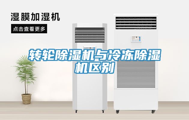 轉輪深夜福利视频网站與冷凍深夜福利视频网站區別
