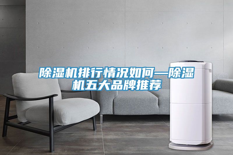 深夜福利视频网站排行情況如何—深夜福利视频网站五大品牌推薦