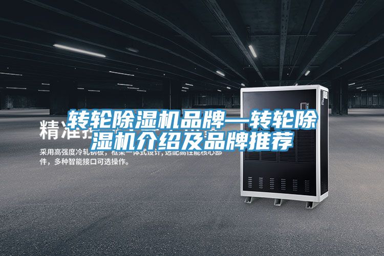 轉輪深夜福利视频网站品牌—轉輪深夜福利视频网站介紹及品牌推薦