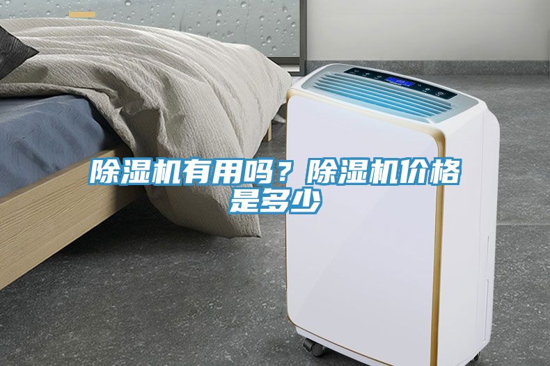 深夜福利视频网站有用嗎？深夜福利视频网站價格是多少