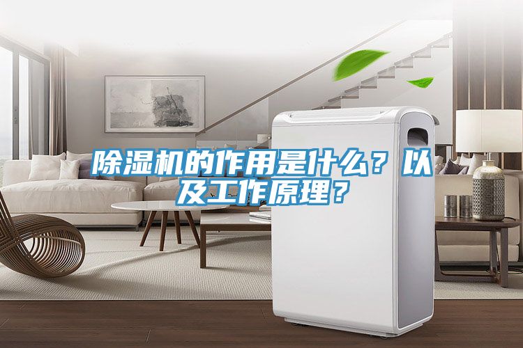 深夜福利视频网站的作用是什麽？以及工作原理？