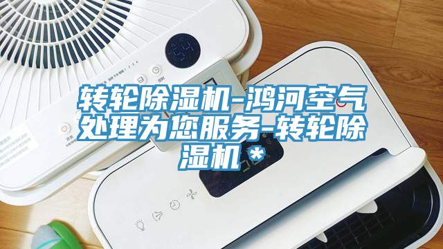 轉輪深夜福利视频网站-鴻河空氣處理為您服務-轉輪深夜福利视频网站＊