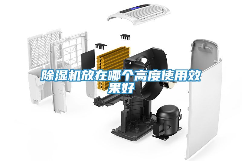 深夜福利视频网站放在哪個高度使用效果好