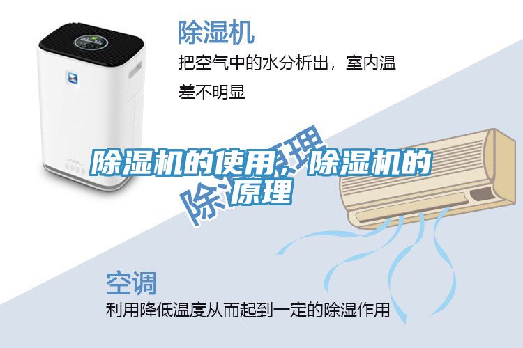 深夜福利视频网站的使用，深夜福利视频网站的原理