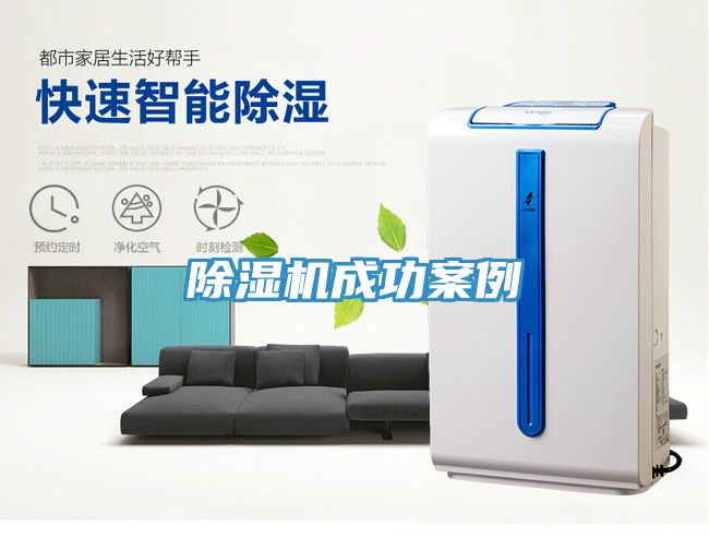 深夜福利视频网站成功案例