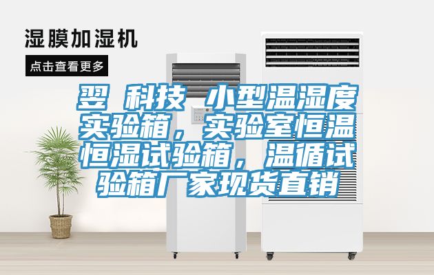 翌昇科技 小型溫濕度實驗箱，實驗室恒溫恒濕試驗箱，溫循試驗箱廠家現貨直銷
