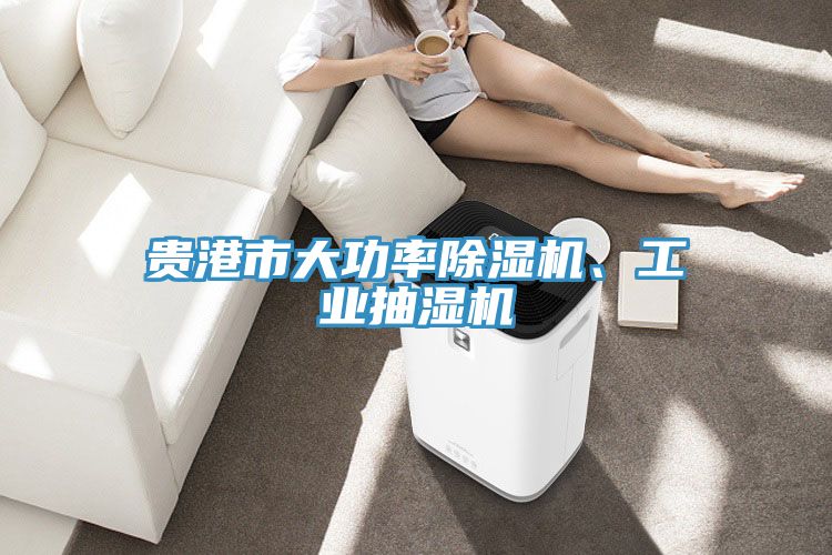 貴港市大功率深夜福利视频网站、工業抽濕機