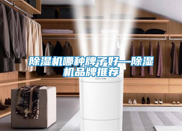 深夜福利视频网站哪種牌子好—深夜福利视频网站品牌推薦