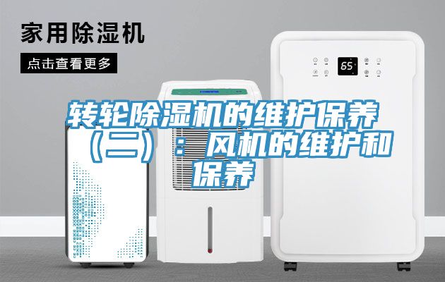 轉輪深夜福利视频网站的維護保養（二）：風機的維護和保養