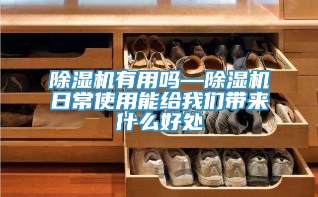 深夜福利视频网站有用嗎—深夜福利视频网站日常使用能給深夜在线视频帶來什麽好處