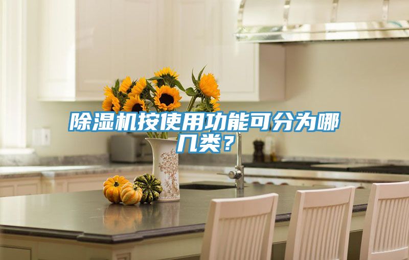 深夜福利视频网站按使用功能可分為哪幾類？
