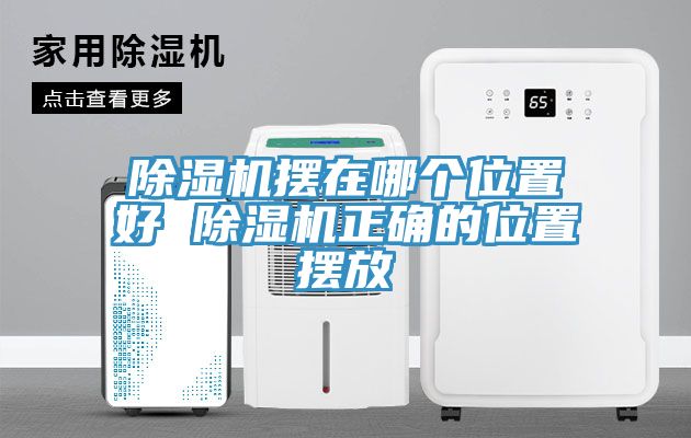 深夜福利视频网站擺在哪個位置好 深夜福利视频网站正確的位置擺放