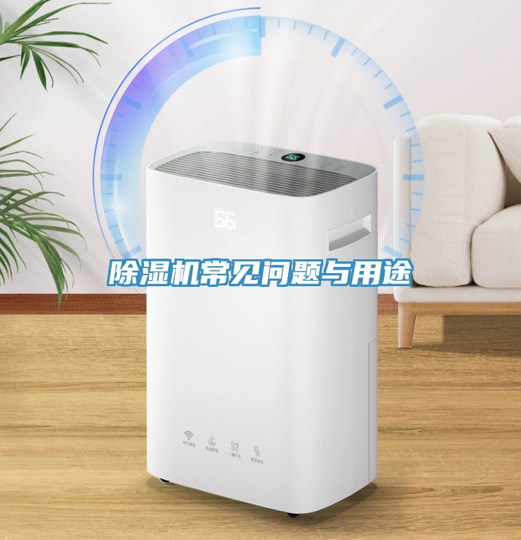 深夜福利视频网站常見問題與用途