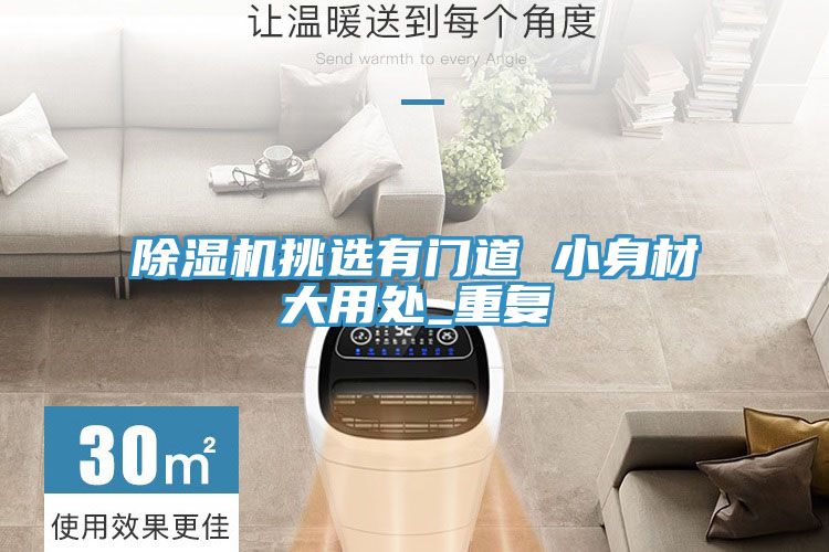 深夜福利视频网站挑選有門道 小身材大用處_重複