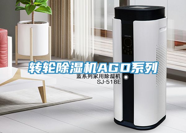 轉輪深夜福利视频网站AGD係列