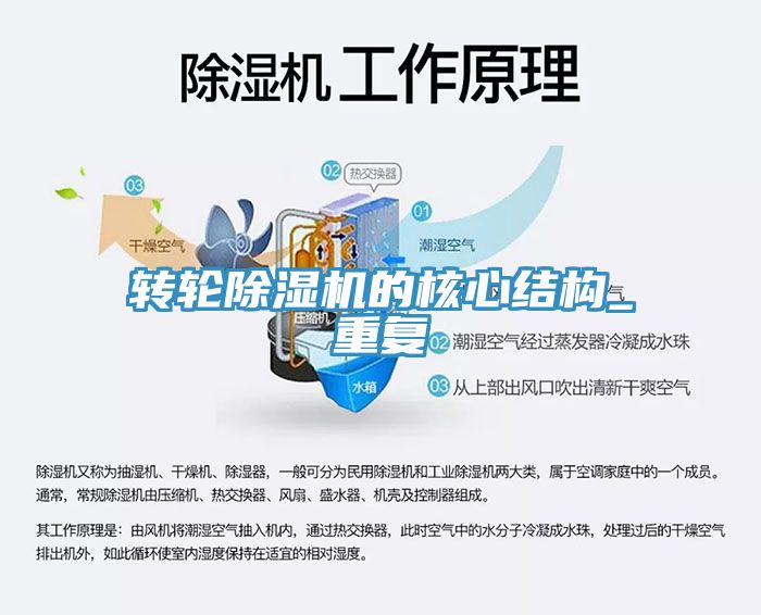 轉輪深夜福利视频网站的核心結構_重複