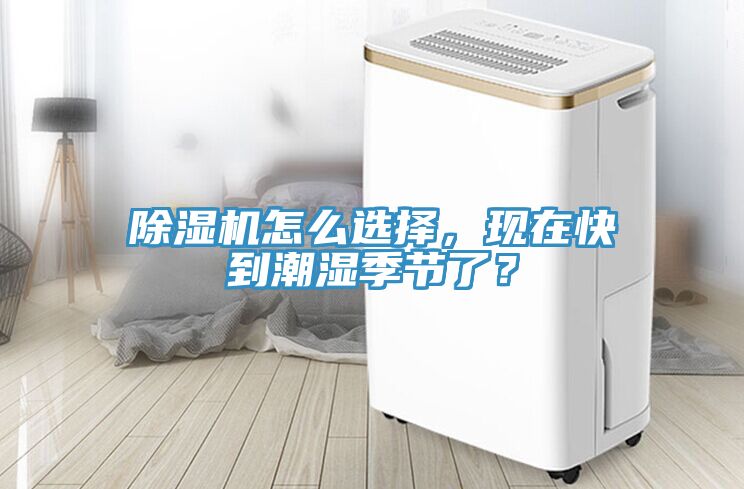 深夜福利视频网站怎麽選擇，現在快到潮濕季節了？