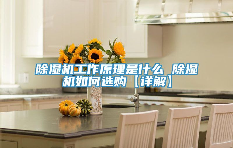 深夜福利视频网站工作原理是什麽 深夜福利视频网站如何選購【詳解】
