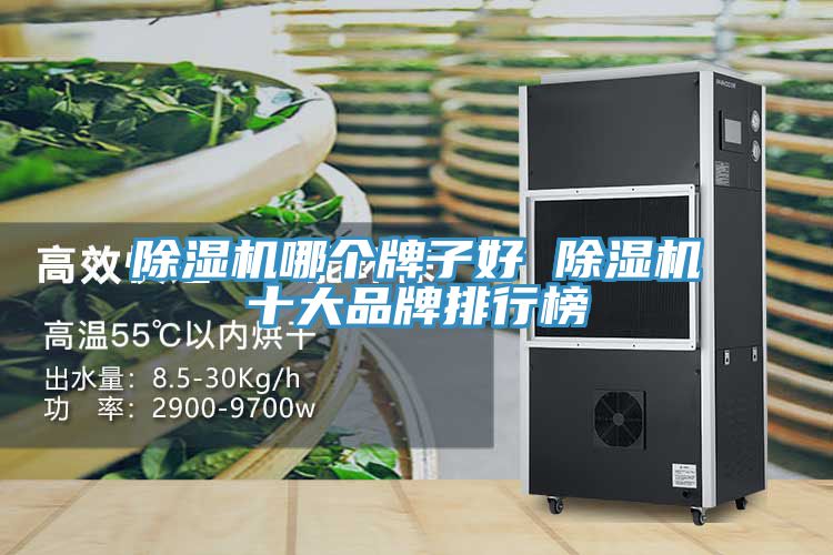 深夜福利视频网站哪個牌子好 深夜福利视频网站十大品牌排行榜