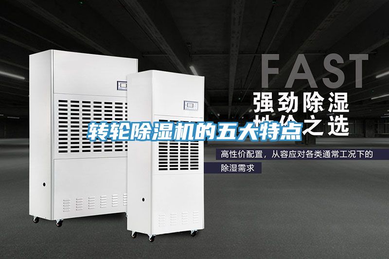 轉輪深夜福利视频网站的五大特點
