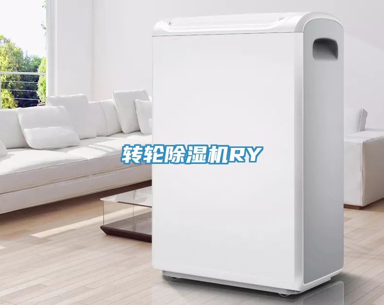 轉輪深夜福利视频网站RY